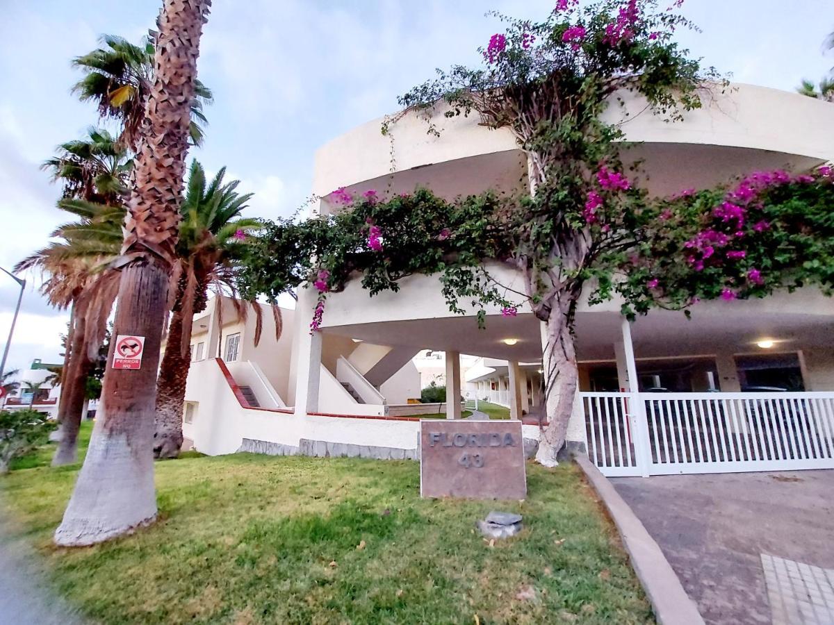 Los Gigantes Amazing Sea View Wifi Pool Parking 阿坎提拉德洛斯基 外观 照片